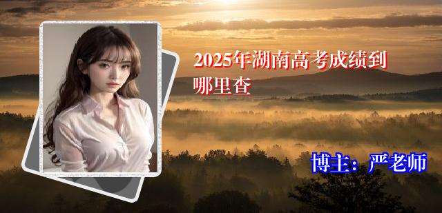 2025年湖南高考成绩到哪里查