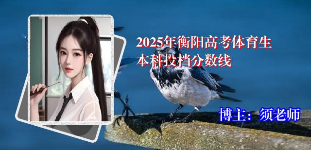 2025年衡阳高考体育生本科投档分数线