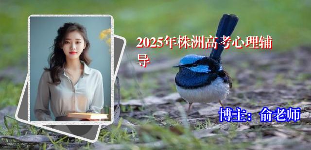 2025年株洲高考心理辅导