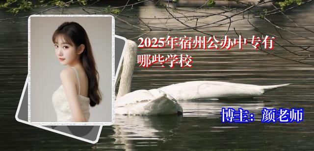 2025年宿州公办中专有哪些学校