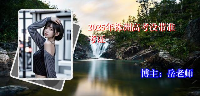 2025年株洲高考没带准考证