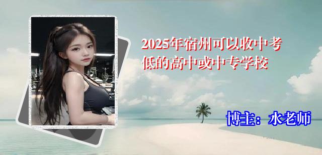 2025年宿州可以收中考低的高中或中专学校