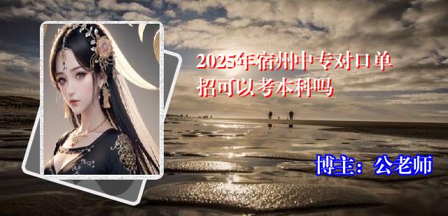 2025年宿州中专对口单招可以考本科吗