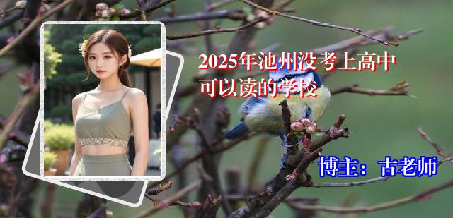 2025年池州没考上高中可以读的学校