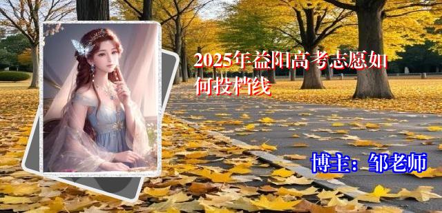 2025年益阳高考志愿如何投档线
