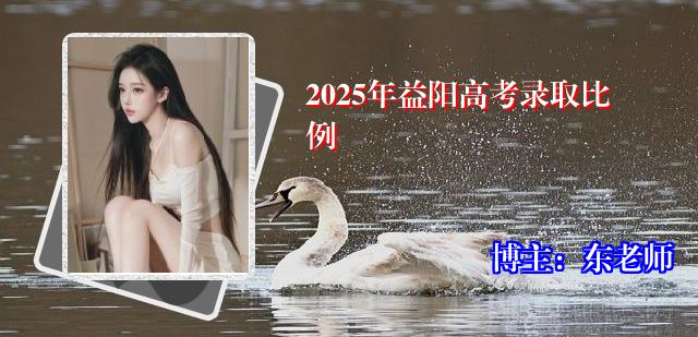 2025年益阳高考录取比例