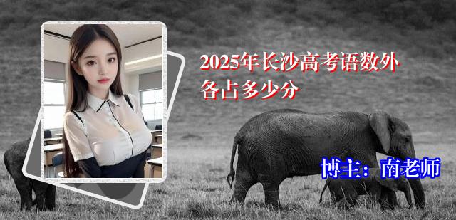 2025年长沙高考语数外各占多少分