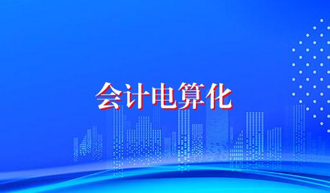 会计电算化