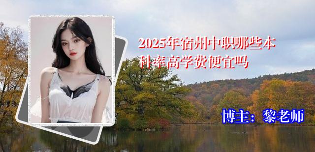 2025年宿州中职哪些本科率高学费便宜吗
