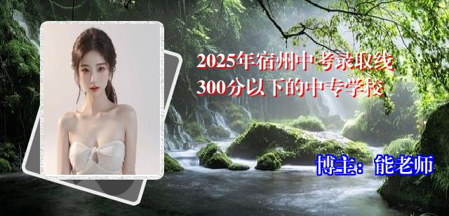 2025年宿州中考录取线300分以下的中专学校