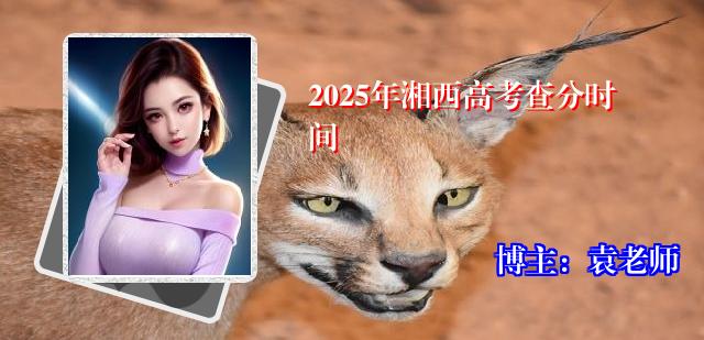 2025年湘西高考查分时间