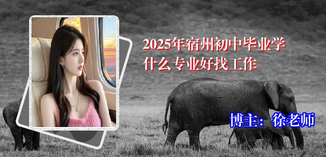 2025年宿州初中毕业学什么专业好找工作