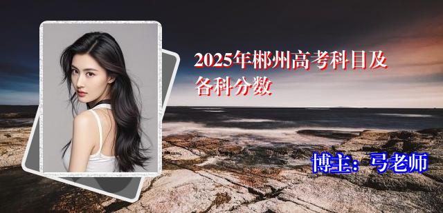 2025年郴州高考科目及各科分数