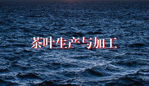 茶叶生产与加工