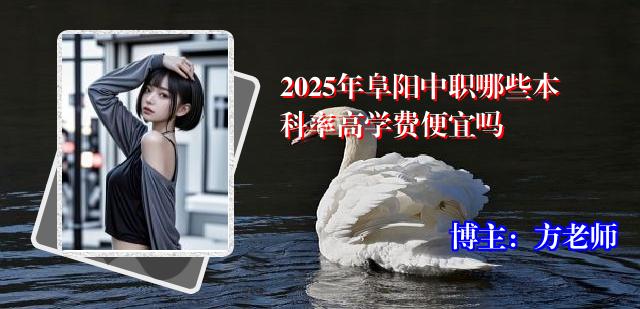 2025年阜阳中职哪些本科率高学费便宜吗