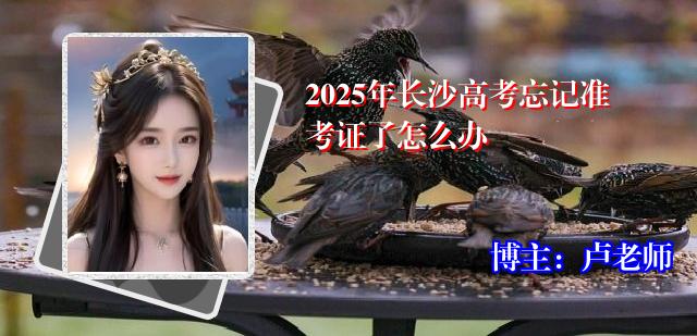 2025年长沙高考忘记准考证了怎么办