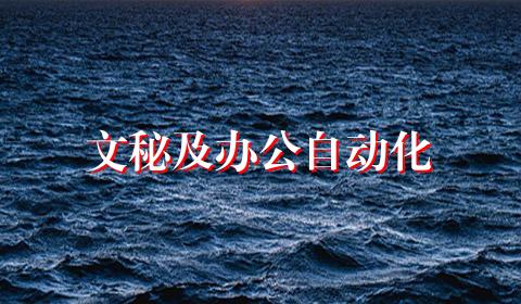 文秘及办公自动化