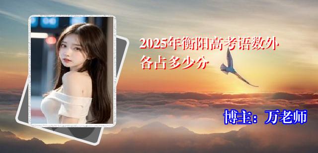 2025年衡阳高考语数外各占多少分