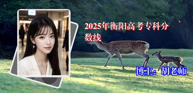 2025年衡阳高考专科分数线