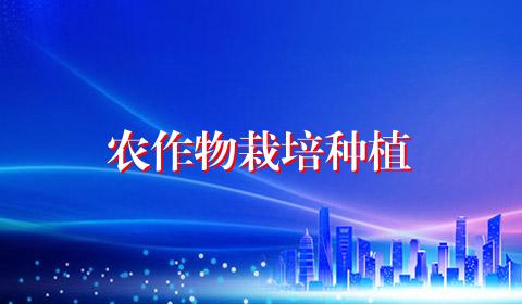 农作物栽培种植