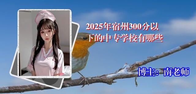 2025年宿州300分以下的中专学校有哪些