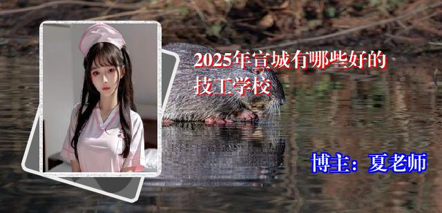 2025年宣城有哪些好的技工学校