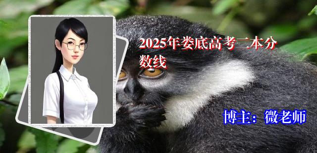 2025年娄底高考二本分数线