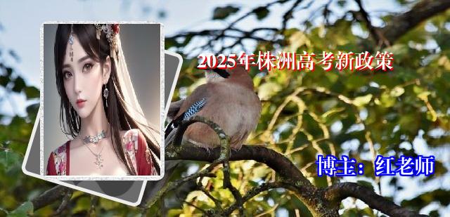 2025年株洲高考新政策