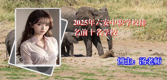 2025年六安中职学校排名前十名学校