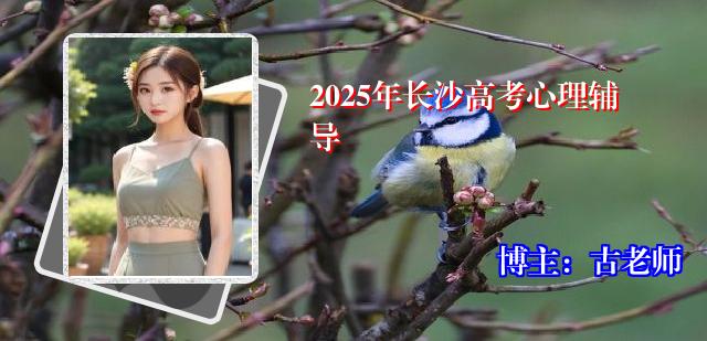 2025年长沙高考心理辅导