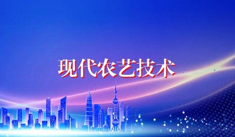 现代农艺技术