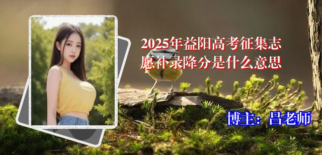 2025年益阳高考征集志愿补录降分是什么意思