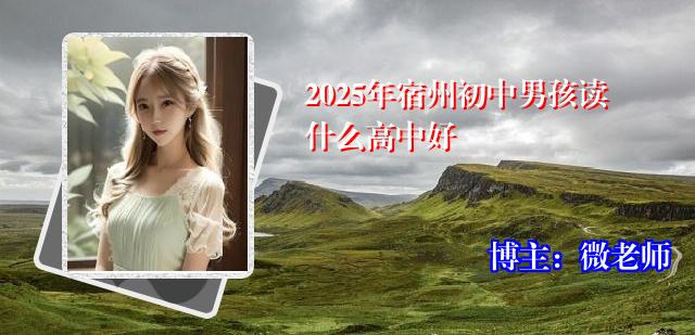 2025年宿州初中男孩读什么高中好