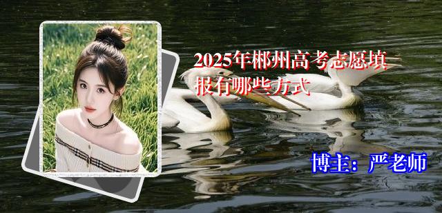 2025年郴州高考志愿填报有哪些方式