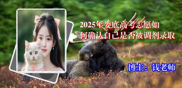 2025年娄底高考志愿如何确认自己是否被调剂录取