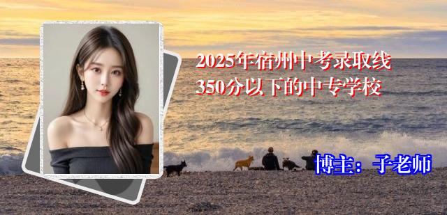 2025年宿州中考录取线350分以下的中专学校