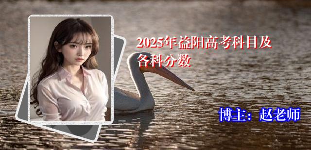 2025年益阳高考科目及各科分数