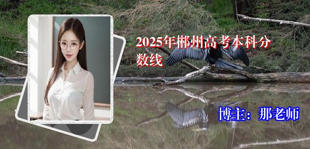 2025年郴州高考本科分数线