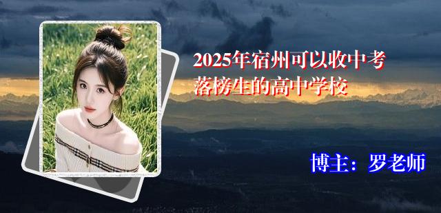 2025年宿州可以收中考落榜生的高中学校