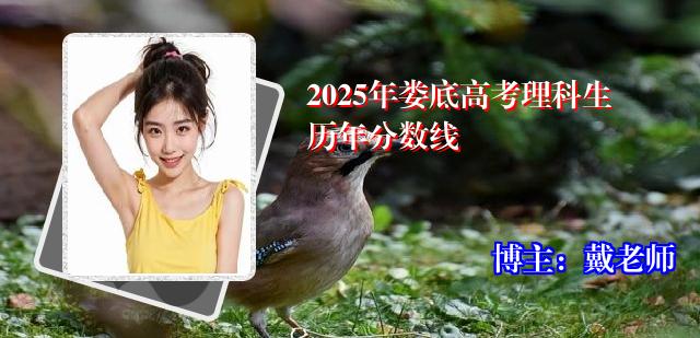 2025年娄底高考理科生历年分数线