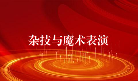 杂技与魔术表演