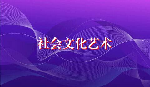 社会文化艺术