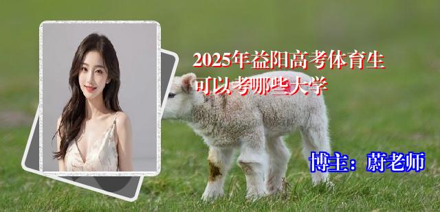 2025年益阳高考体育生可以考哪些大学