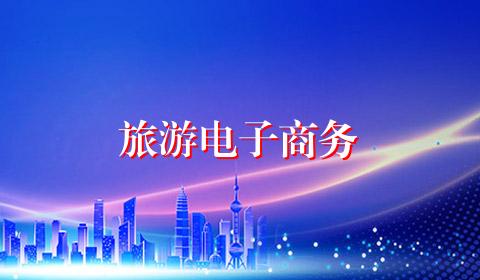 旅游电子商务