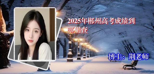 2025年郴州高考成绩到哪里查