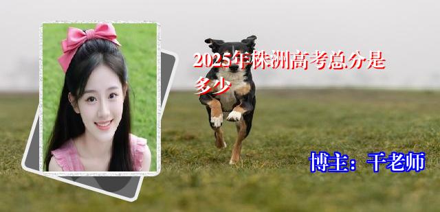 2025年株洲高考总分是多少