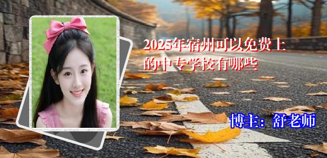 2025年宿州可以免费上的中专学校有哪些