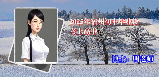 2025年宿州初中毕业没考上高中