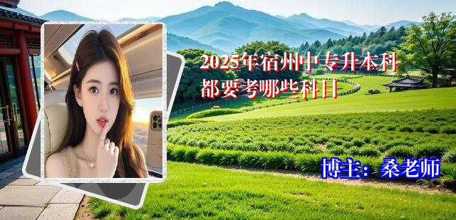 2025年宿州中专升本科都要考哪些科目