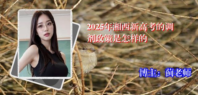 2025年湘西新高考的调剂政策是怎样的
